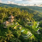 Building Real Estate in Ubud