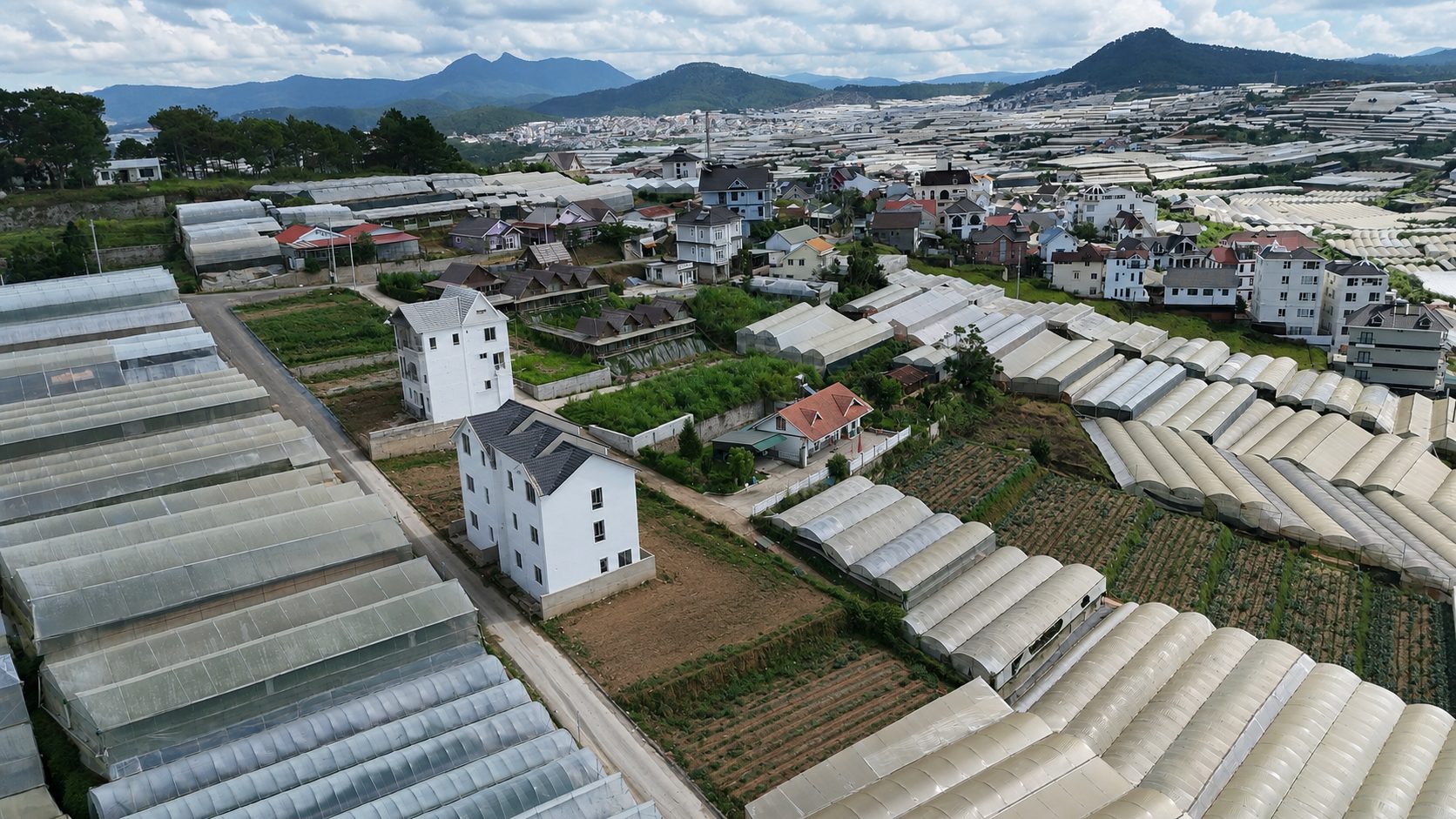 Đất trịnh hoài đức 2